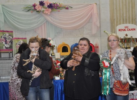 show-2013-04-13-2