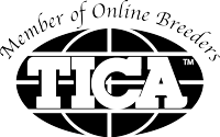 tica-logo