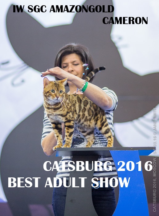 show2016 03 03 6